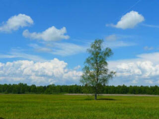 продаж ділянка під житлову забудову Броварський, Згурівка, 5000 $