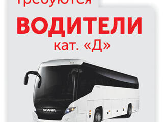 Предприятию на постоянную работу требуется водитель автобуса