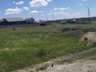 В продаже участок в Светлом 10 соток. На участке есть вода и свет. По 