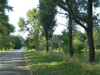 продаж ділянка під житлову забудову Бучанський, Королівка, 260000 $