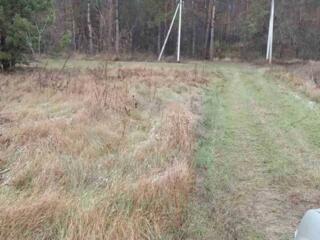 продаж ділянка під житлову забудову Бучанський, Великий Карашин, 75000