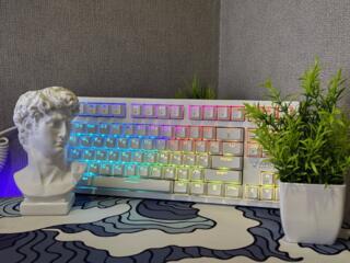 Клавиатура Ardor Gaming Immortality TKL