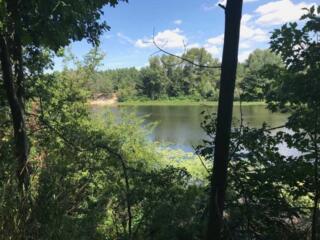 продаж ділянка сільськогосподарського призначення Вишгородський, Лебед