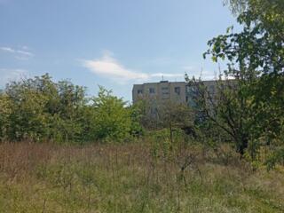 Центр молд. части, ул. Терещенко