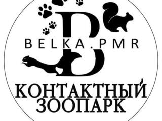 Продам Контактный зоопарк