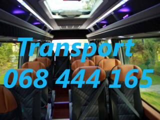 Bucuresti, Iasi, Vaslui - Romania. Zilnic.