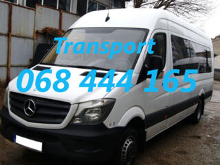 Germania, Olanda, Belgia, Austria, Cehia, Slovacia, Luxemburg, Elvetia