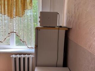 Сдаю в аренду