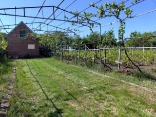 Два дачных участка по цене одного (Западный)