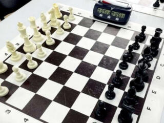 Индивидуальные занятия по шахматам