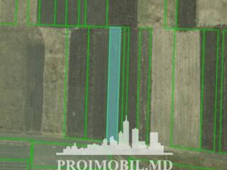 Spre vânzare se oferă teren agricol, situatîn Stăuceni.Suprafața ...