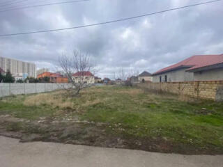 10 соток Царское село. Гос акт.