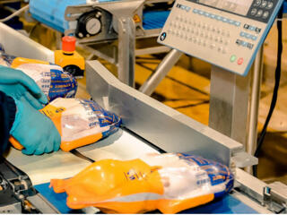 Работа в Польше на производстве индюшиного мяса наивысшего качества!