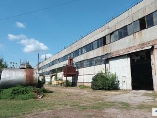 продаж виробничі приміщення Ніжинський, Ніжин, 7422000 грн.