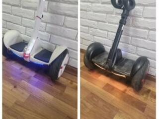 Сигвэй мини робот