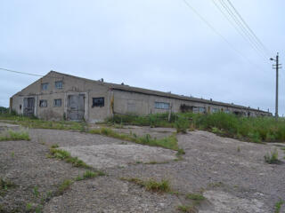 Продается участок в селе Малаешты, 500кв.