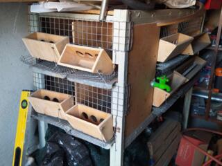 Продам клетку для перепелов