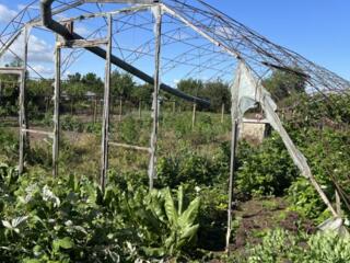 Парканы. Ул. Котовского! Продается участок! 10 сот! Автолялечка