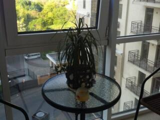 Длительная аренда, центр Аркадии, Жемчужина шесть