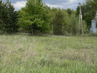 продаж ділянка під житлову забудову Бучанський, Мотижин, 104400 $