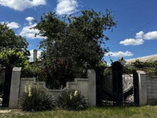 Дом Шелковый.