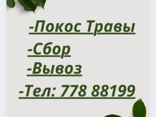 Покос Травы, Сбор, Вывоз