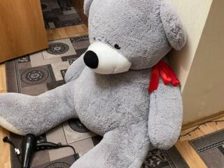 Продам медведя