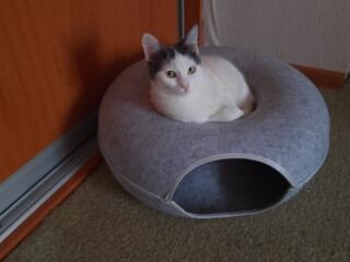 Домик туннель