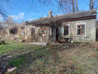 Продам два дома на одном участке земли в р-не п.Большевик