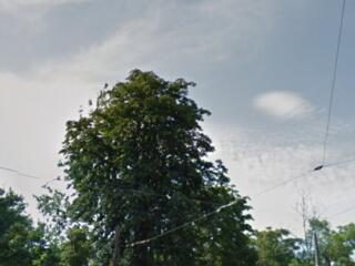 Продам отличный участок