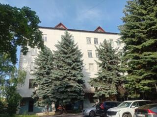 Под любой вид деятельности