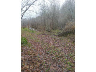 продаж ділянка під житлову забудову Обухівський, Вахутинці, 107000 грн