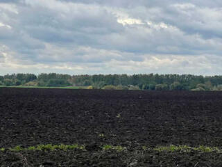 продаж ділянка сільськогосподарського призначення Житомир, Піски, 4800