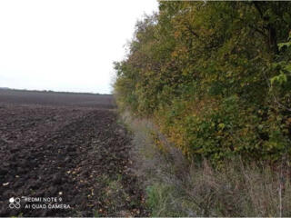 продаж ділянка сільськогосподарського призначення Старокостянтинівськи