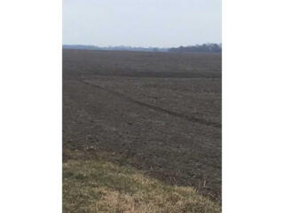 продаж ділянка сільськогосподарського призначення Бобровицький, Бобров