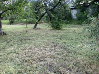 Покос травы! Быстро/качественно