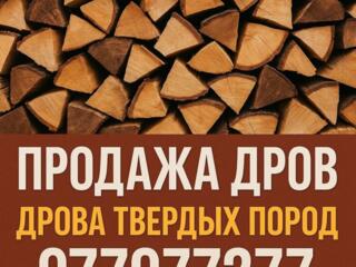 Дрова на любой кошелек