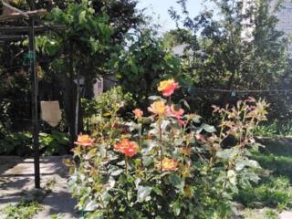 Дом с ремонтом в районе АРКАДИИ