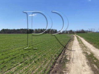 продаж ділянка під житлову забудову Обухівський, Хотів, 69999 $