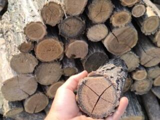 Дрова Твердых Пород (Акация)