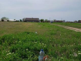 С. Калаглія