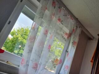 Vind Casa cu 18 ari pamint+2,70 hectare preț foarte bun