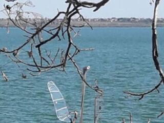 Дача на берегу Хаджибеевского лимана