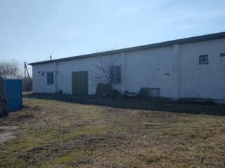 довгострокова оренда виробничі приміщення Броварський, Літки, 40000 гр