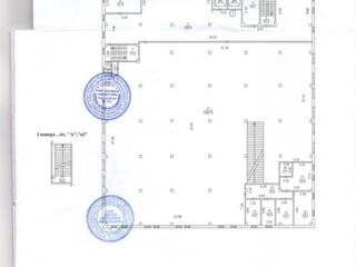 Сдам помещение 1500 кв м под любую коммерческую деятельность.