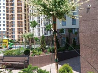 33655. В продаже 2 комнатная квартира в 65 ...