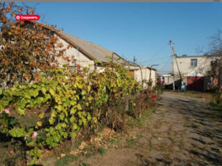 Продам дом в центре села Александровка, 10 км от поселка Котовского