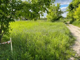 продаж ділянка під житлову забудову Білоцерківський, Северинівка, 8500
