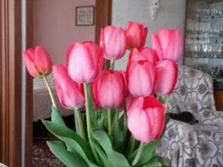 Продам трехкомнатную квартиру на балке