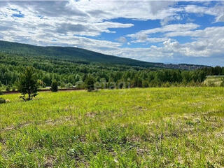 Куплю дачный участок в Ставченах без капитального дома